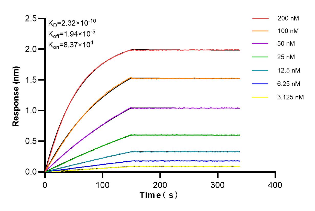 Affinity and Kinetic Characterization of 84684-4-RR