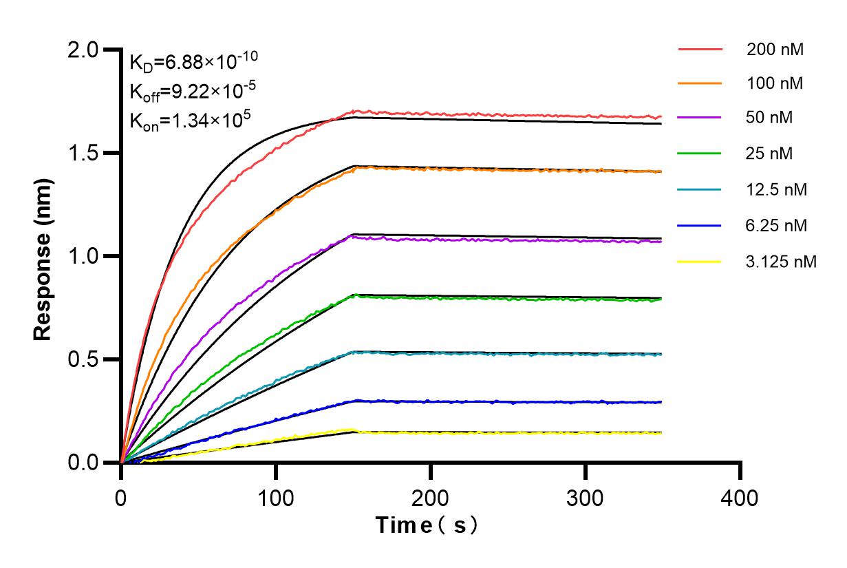 Affinity and Kinetic Characterization of 84694-1-RR