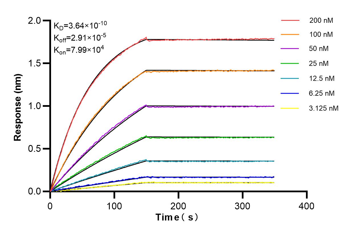 Affinity and Kinetic Characterization of 84700-1-RR