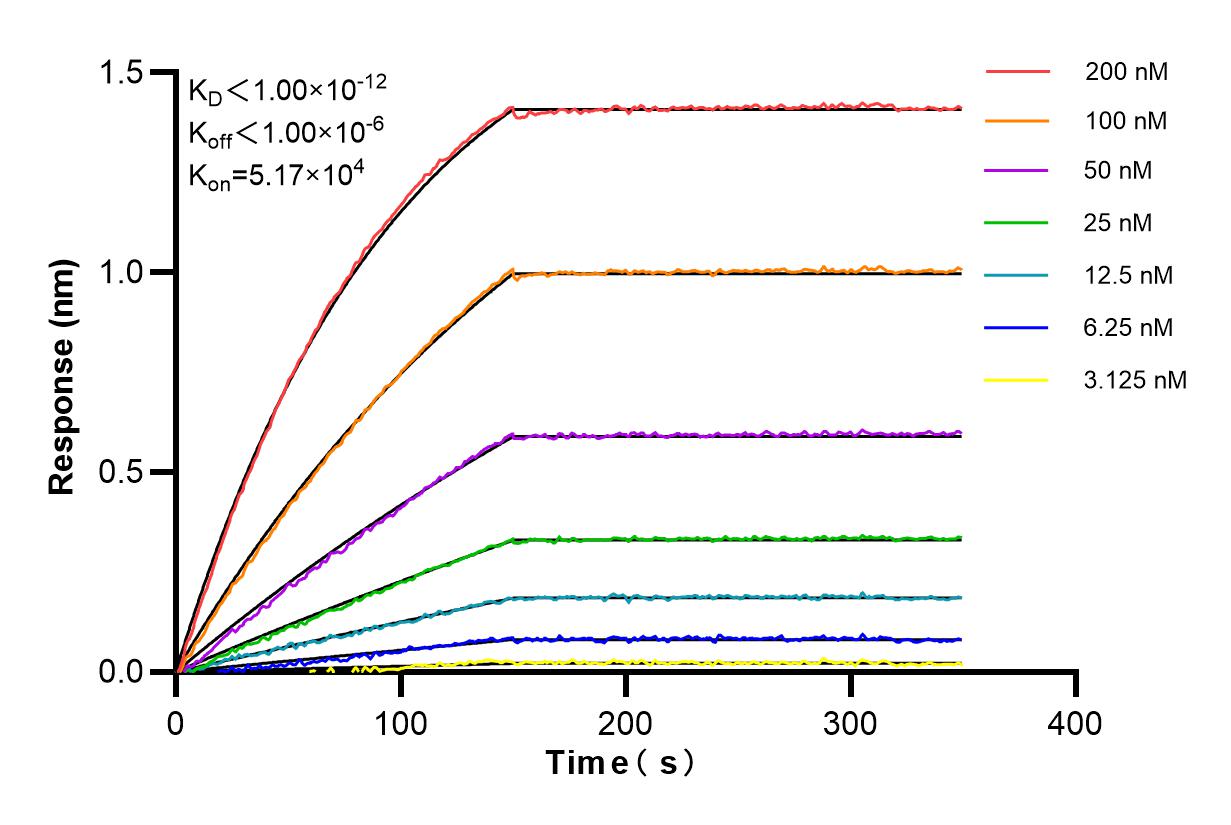 Affinity and Kinetic Characterization of 84707-5-RR