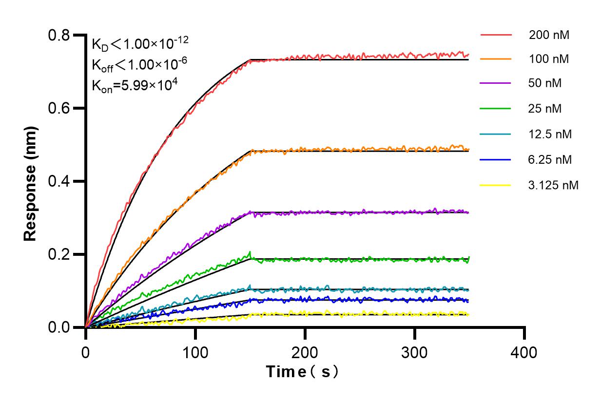 Affinity and Kinetic Characterization of 84715-3-RR