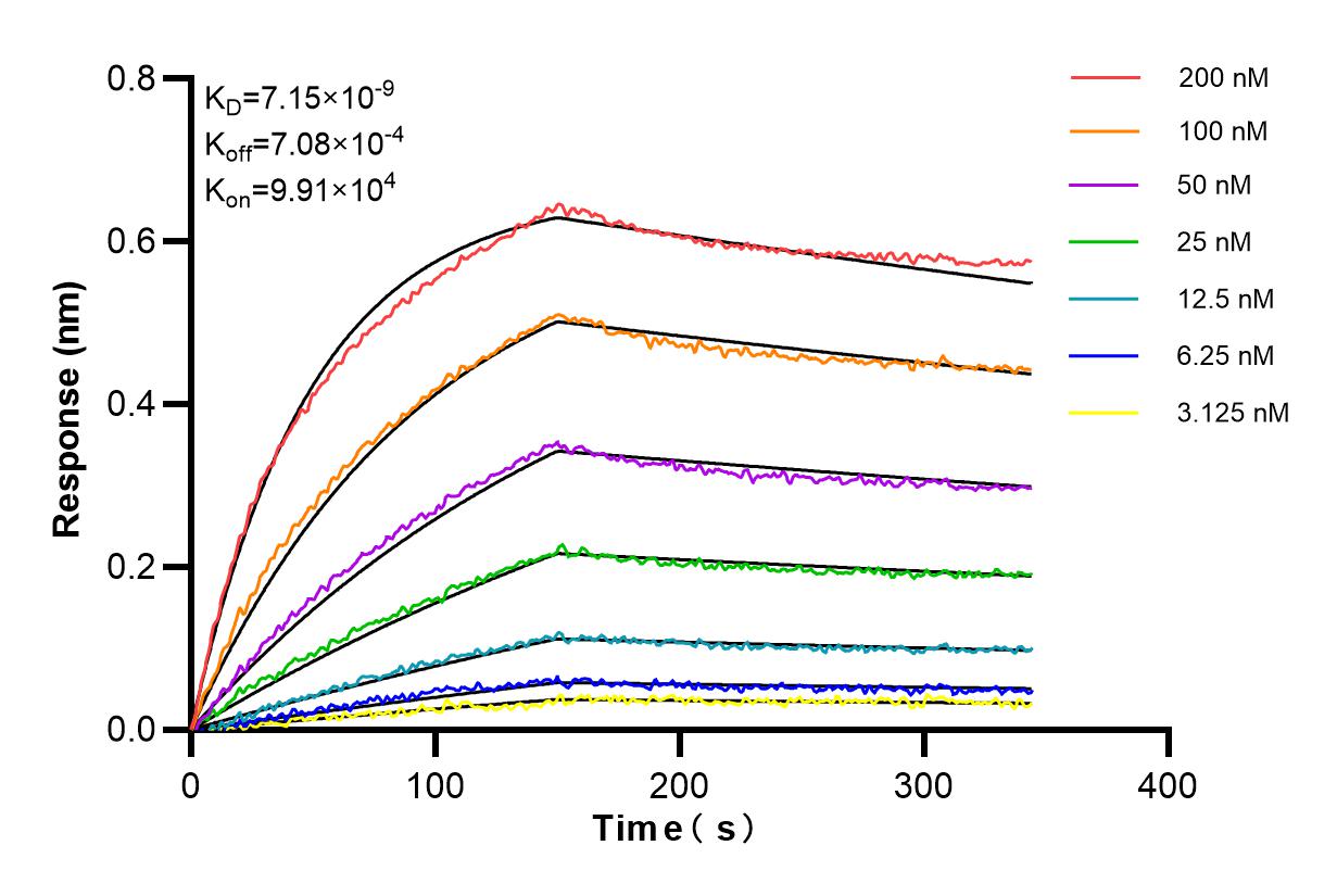 Affinity and Kinetic Characterization of 84715-4-RR