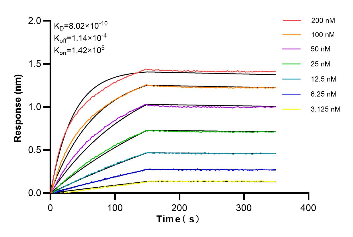 Affinity and Kinetic Characterization of 84730-5-RR