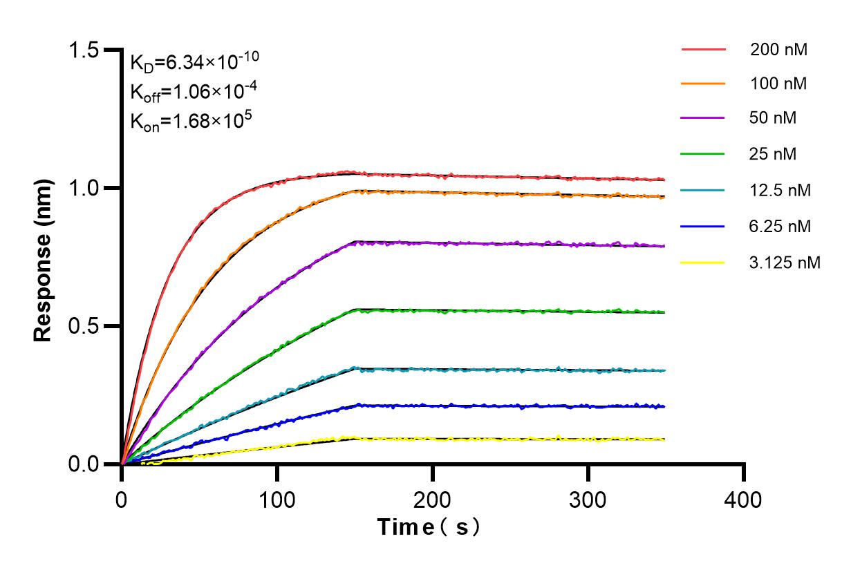 Affinity and Kinetic Characterization of 84759-4-RR