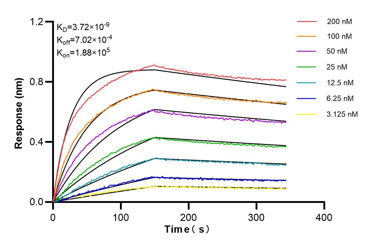 Affinity and Kinetic Characterization of 84763-4-RR