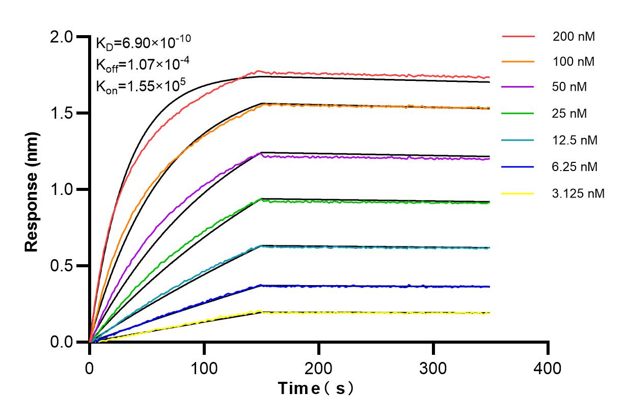 Affinity and Kinetic Characterization of 84768-2-RR