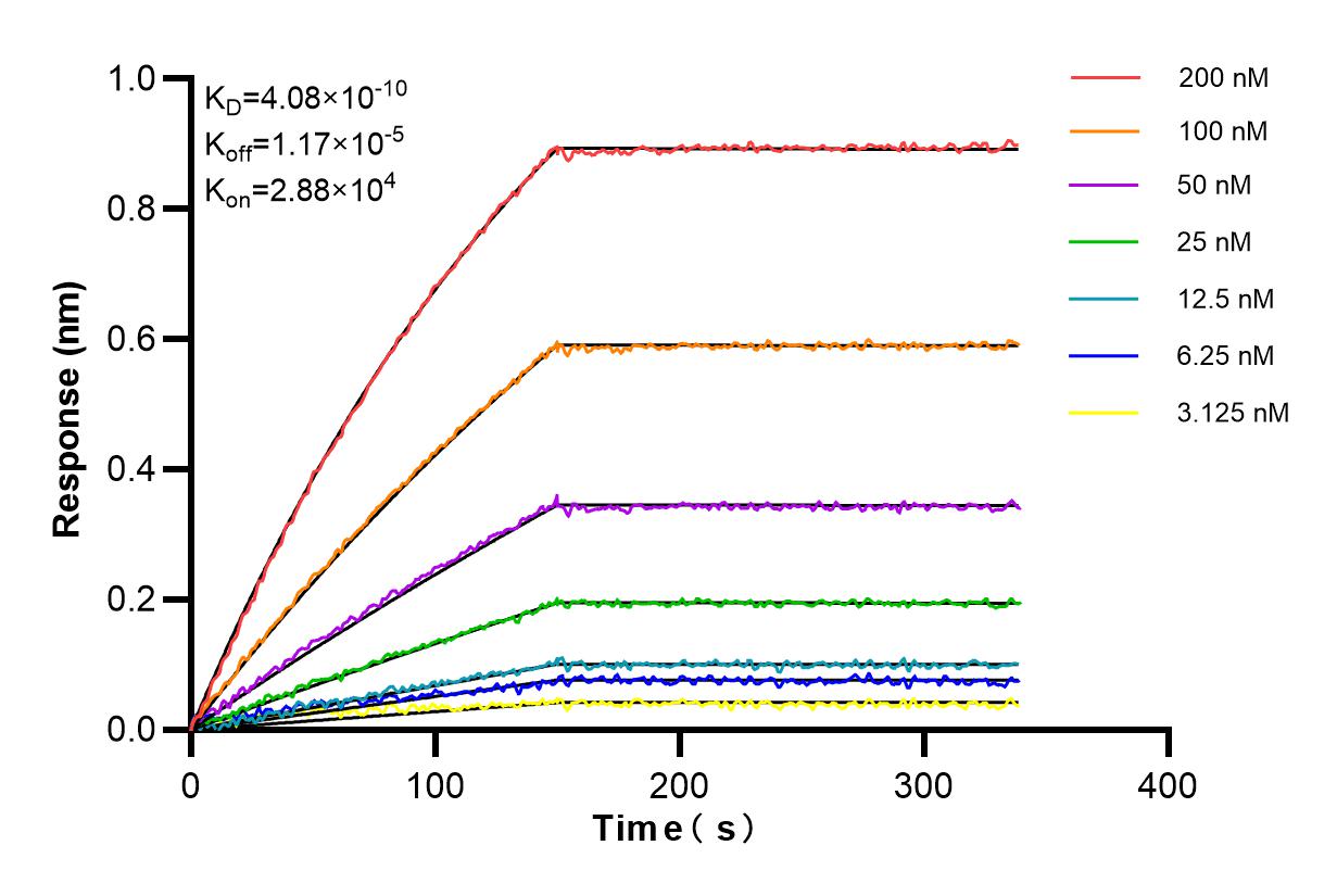 Affinity and Kinetic Characterization of 84769-1-RR