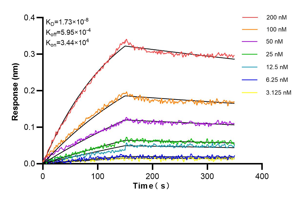 Affinity and Kinetic Characterization of 84770-1-RR