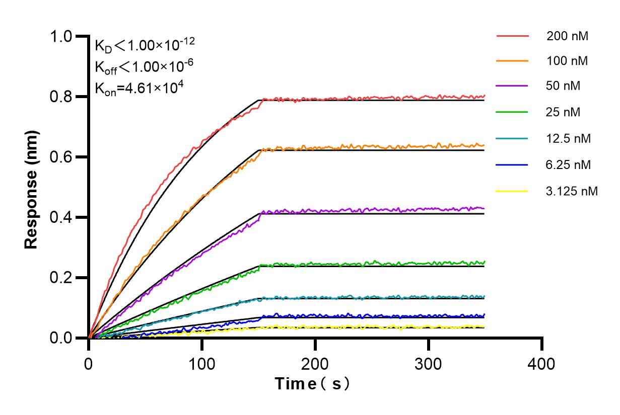 Affinity and Kinetic Characterization of 84775-7-RR