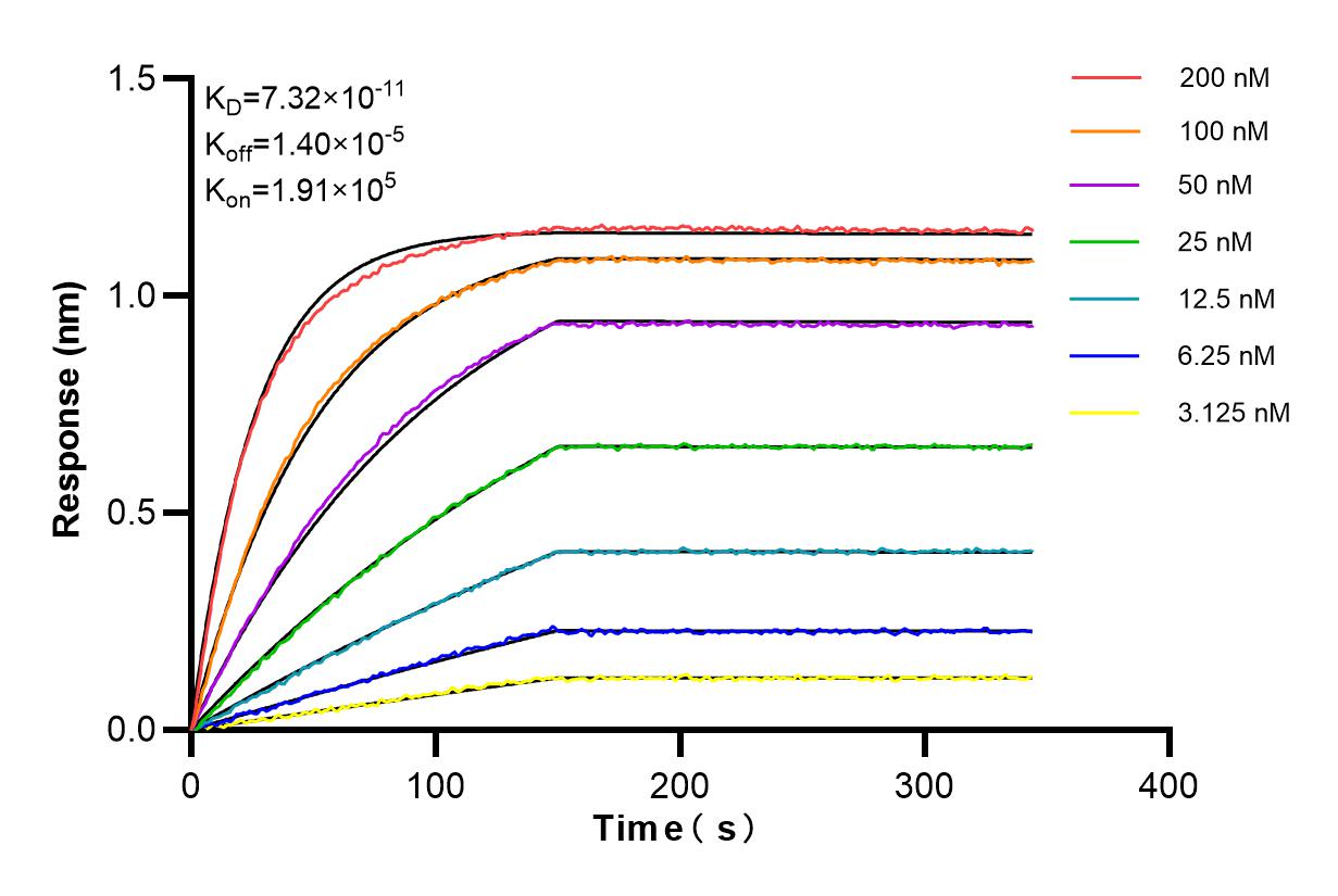 Affinity and Kinetic Characterization of 84792-5-RR