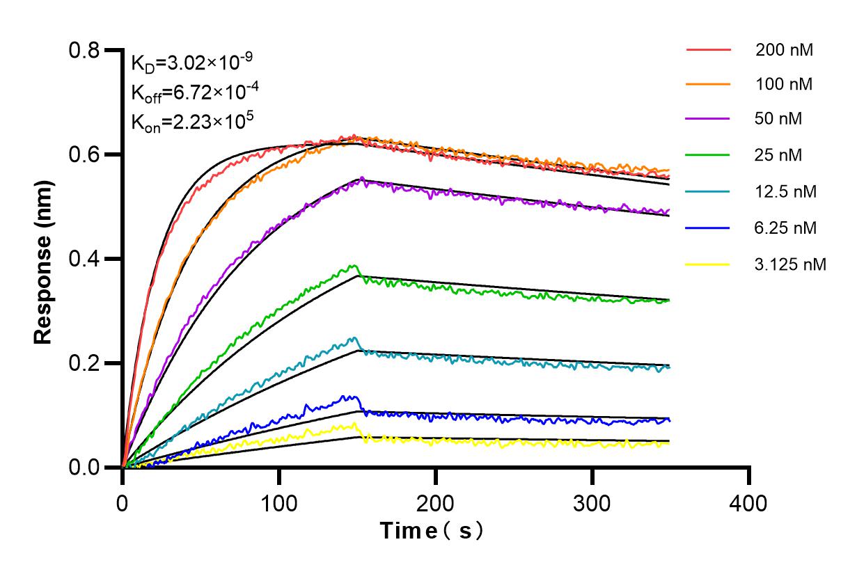 Affinity and Kinetic Characterization of 84797-4-RR