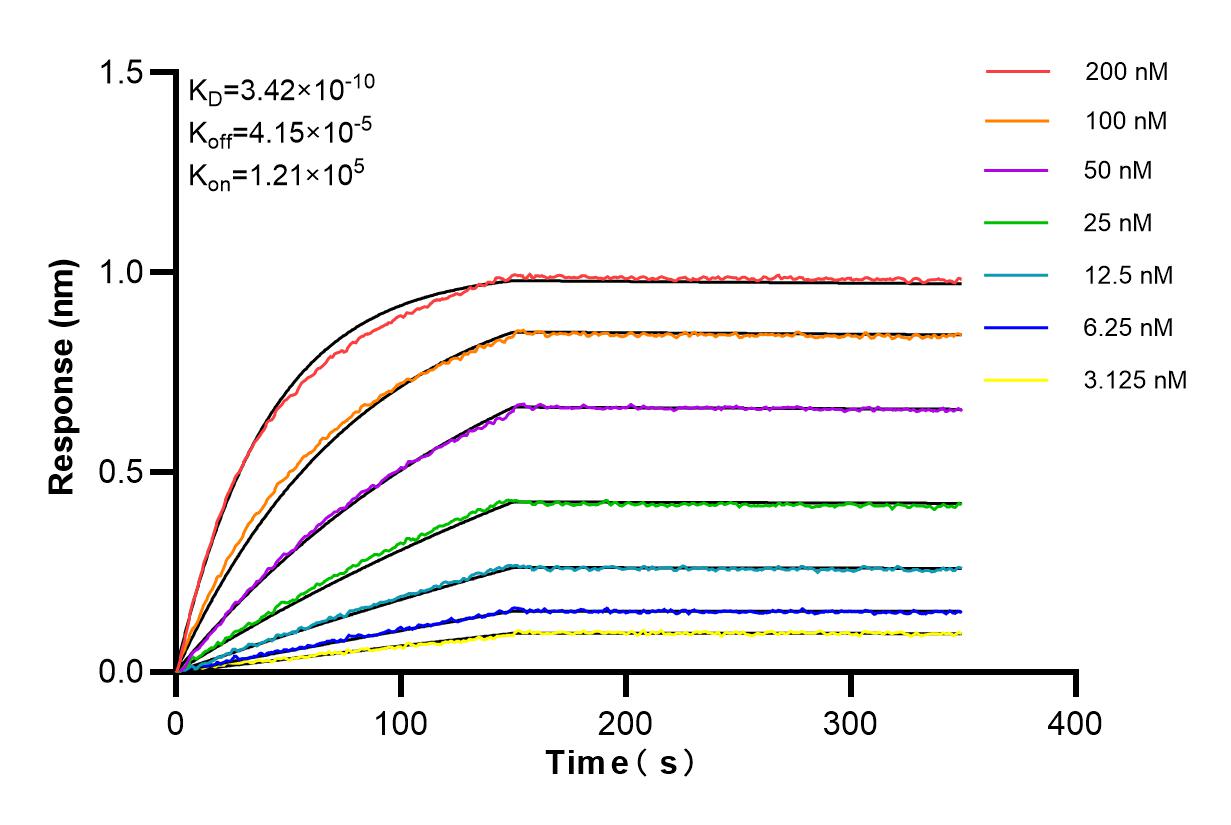 Affinity and Kinetic Characterization of 84799-4-RR