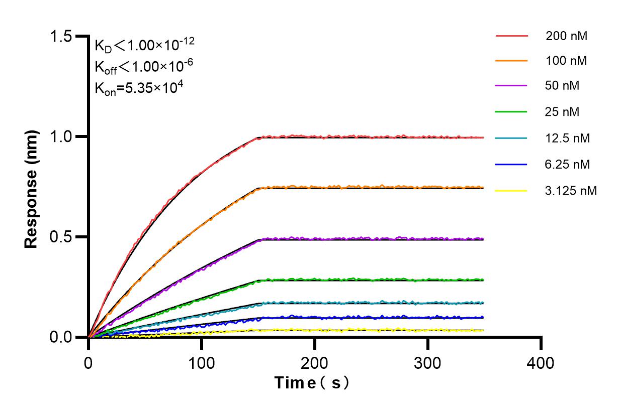 Affinity and Kinetic Characterization of 84800-1-RR