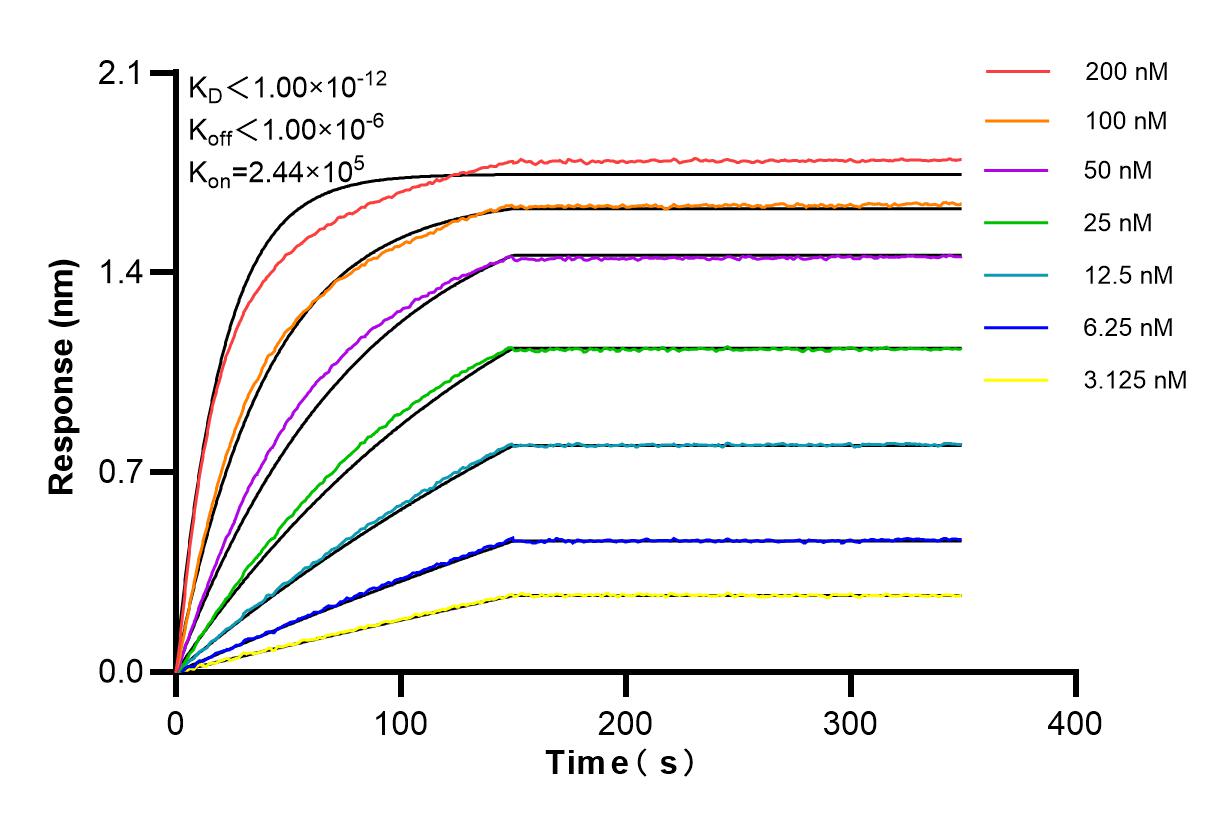 Affinity and Kinetic Characterization of 84809-4-RR