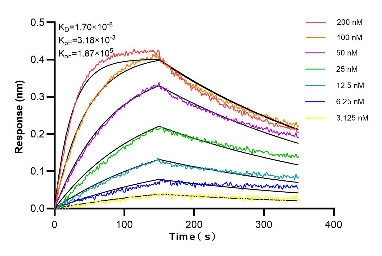 Affinity and Kinetic Characterization of 84832-1-RR