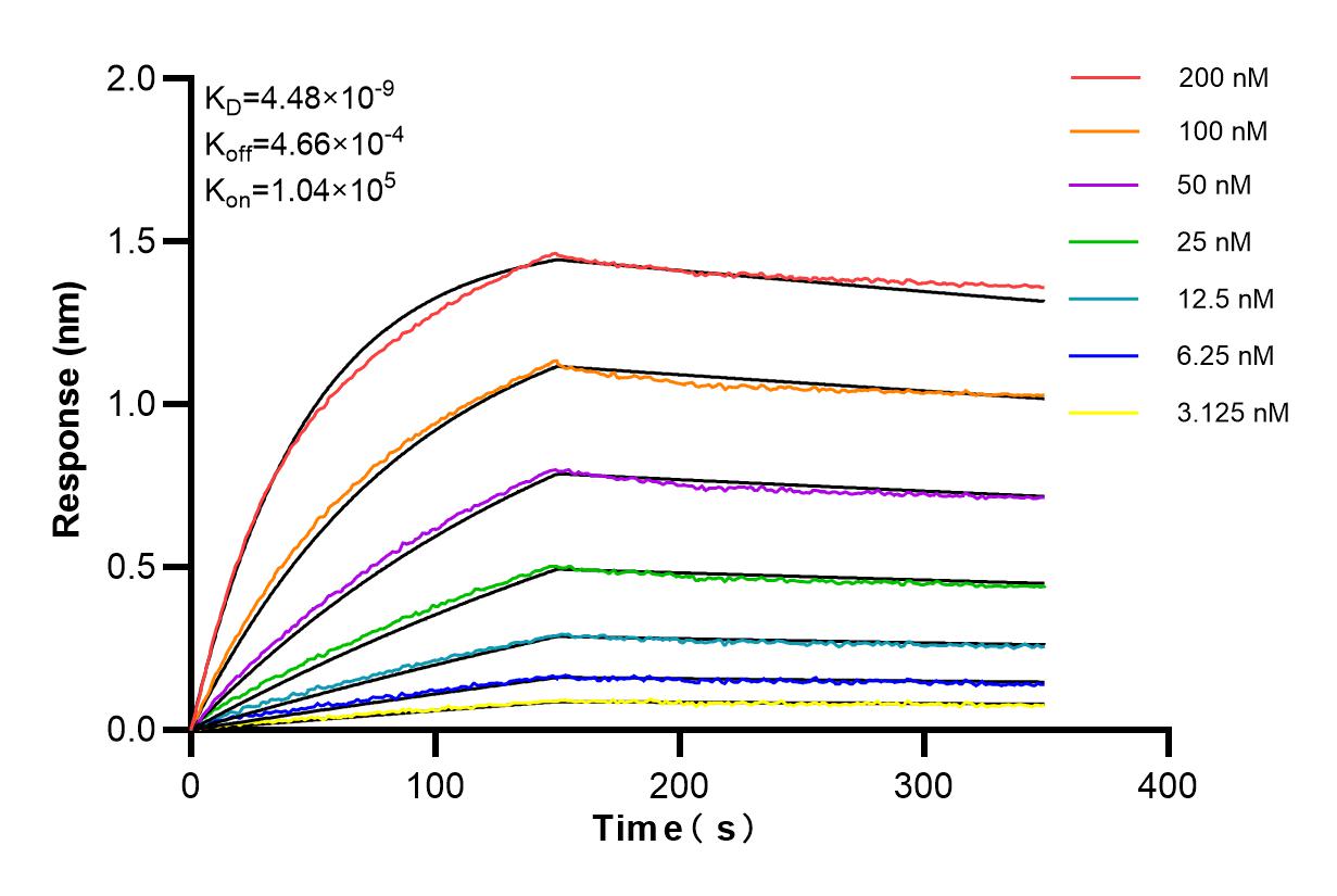 Affinity and Kinetic Characterization of 84843-1-RR