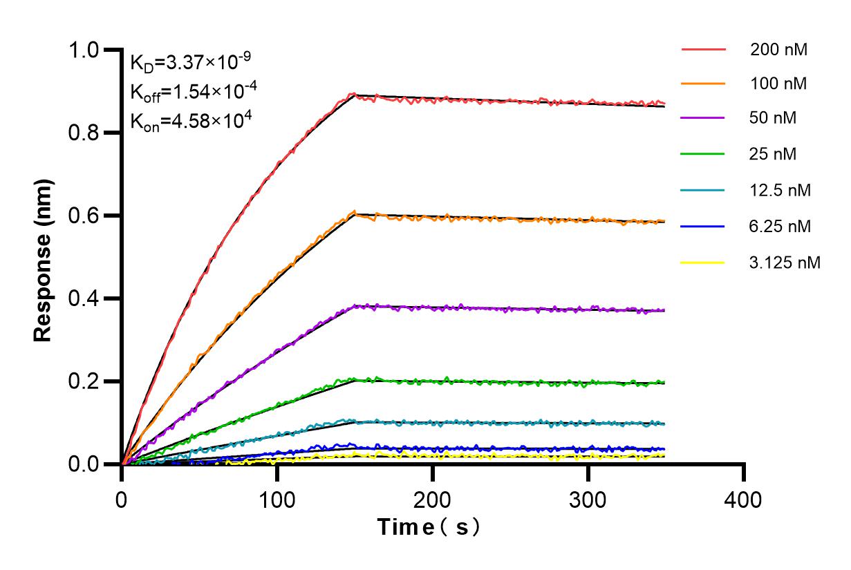 Affinity and Kinetic Characterization of 84869-1-RR