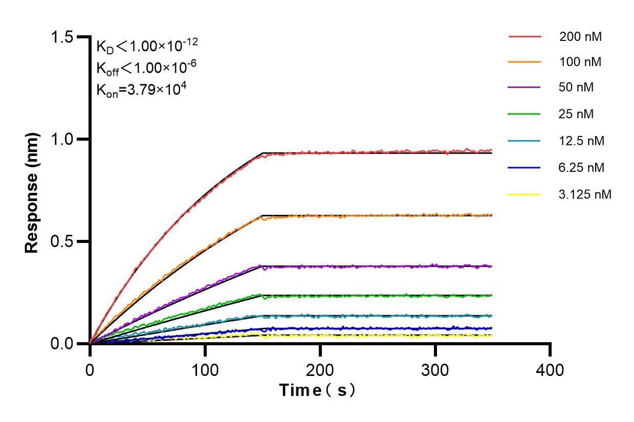 Affinity and Kinetic Characterization of 84898-3-RR