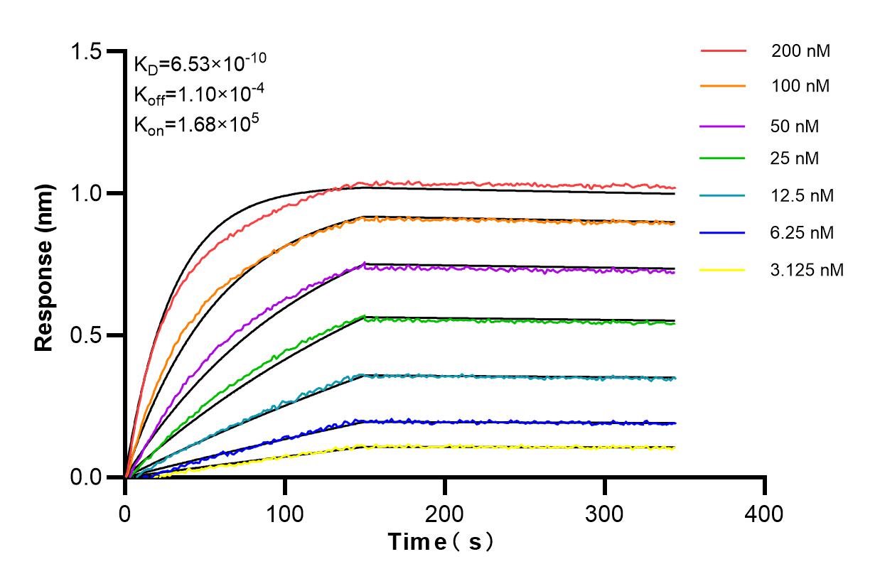 Affinity and Kinetic Characterization of 84927-6-RR