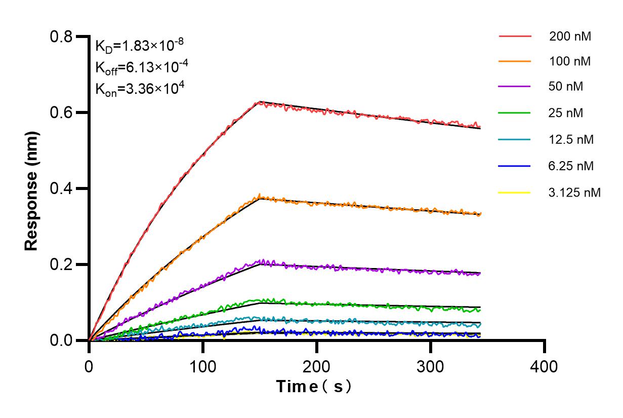 Affinity and Kinetic Characterization of 84966-2-RR