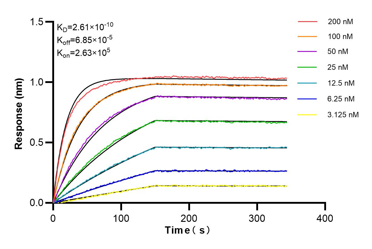 Affinity and Kinetic Characterization of 85013-4-RR