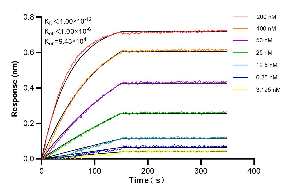 Affinity and Kinetic Characterization of 98001-1-RR