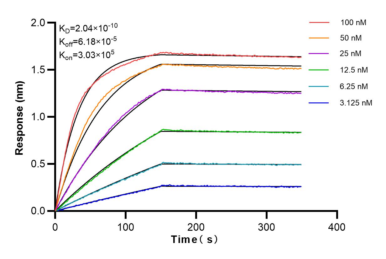 Affinity and Kinetic Characterization of 98030-2-RR