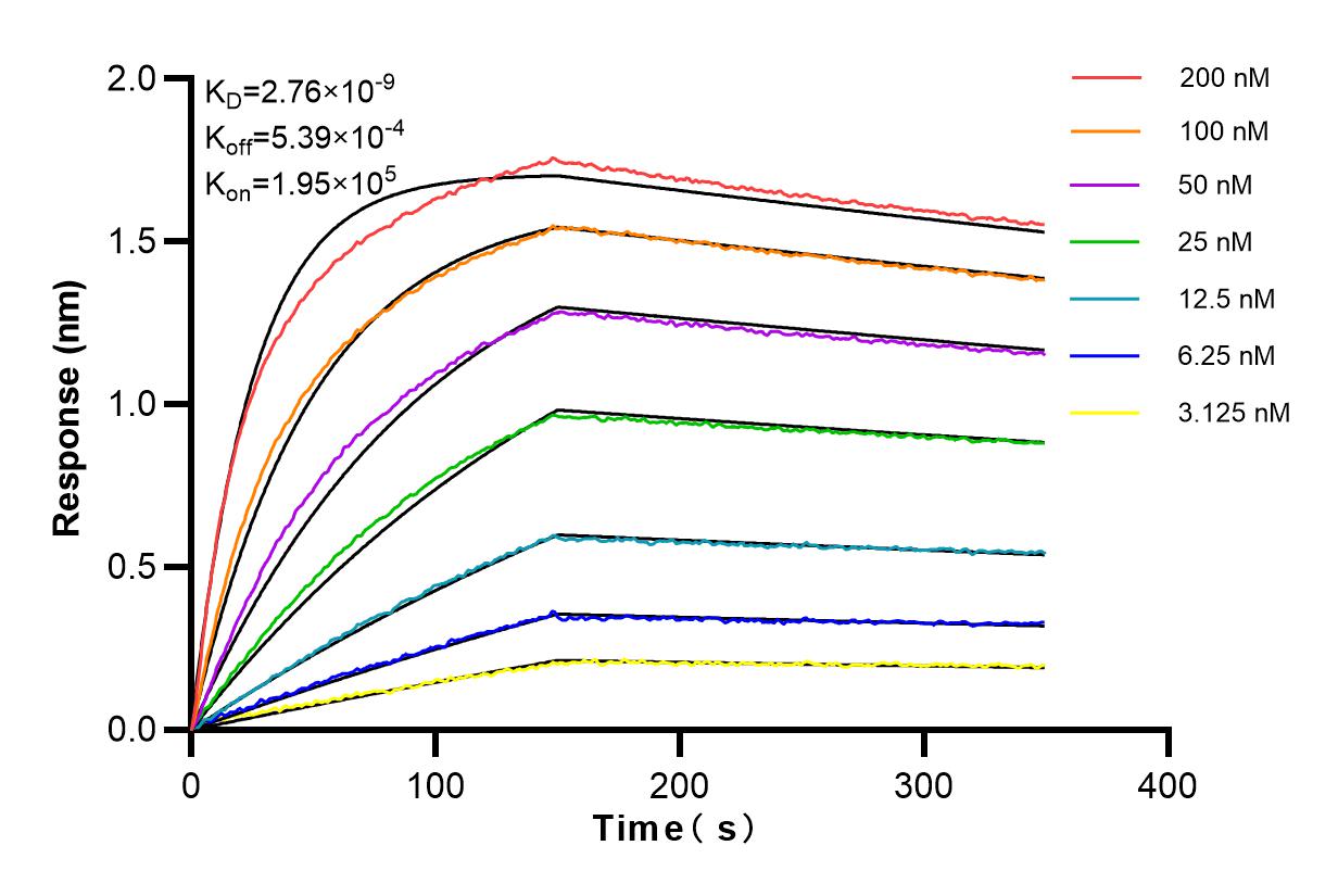 Affinity and Kinetic Characterization of 98033-1-RR