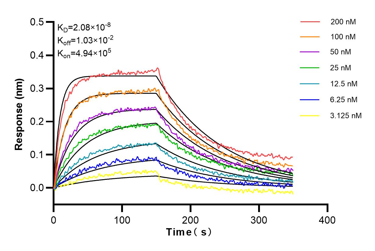 Affinity and Kinetic Characterization of 98051-1-RR