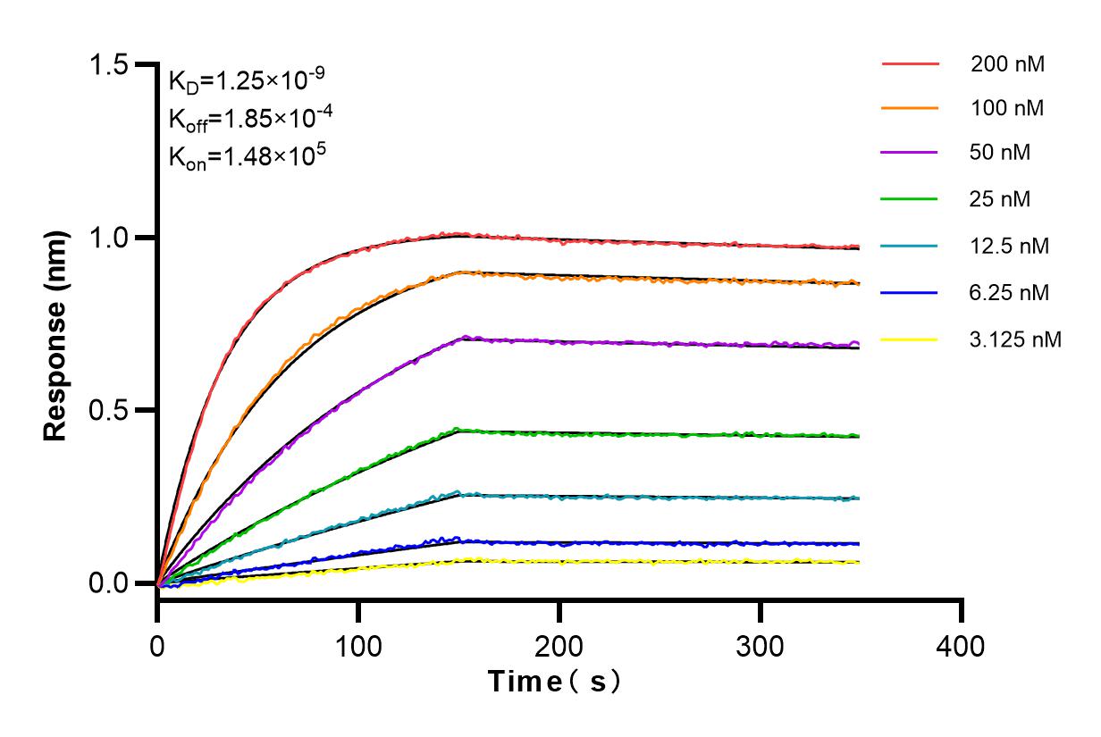 Affinity and Kinetic Characterization of 98063-1-RR