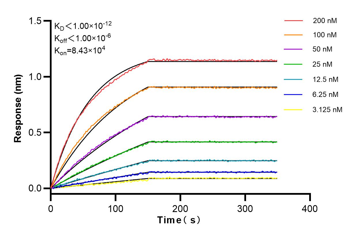 Affinity and Kinetic Characterization of 98071-1-RR