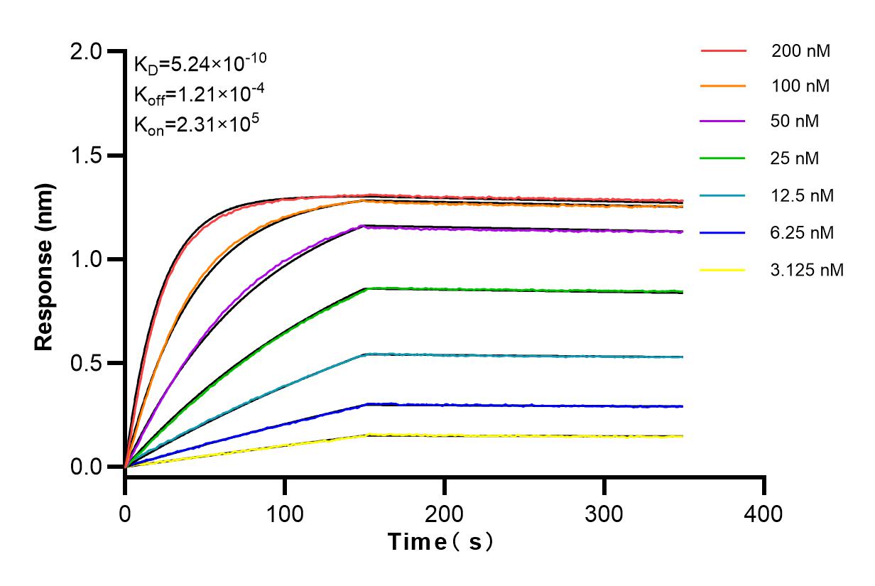 Affinity and Kinetic Characterization of 98083-1-RR