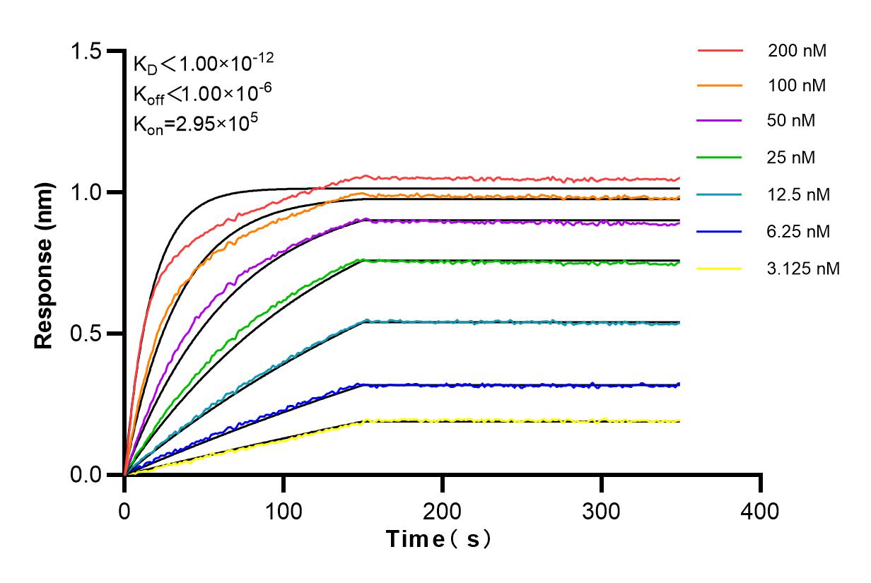 Affinity and Kinetic Characterization of 98088-1-RR