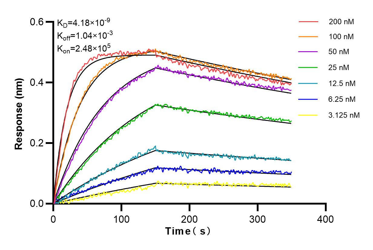 Affinity and Kinetic Characterization of 98100-1-RR