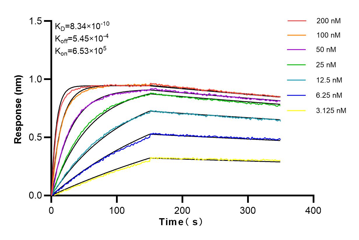 Affinity and Kinetic Characterization of 98104-1-RR