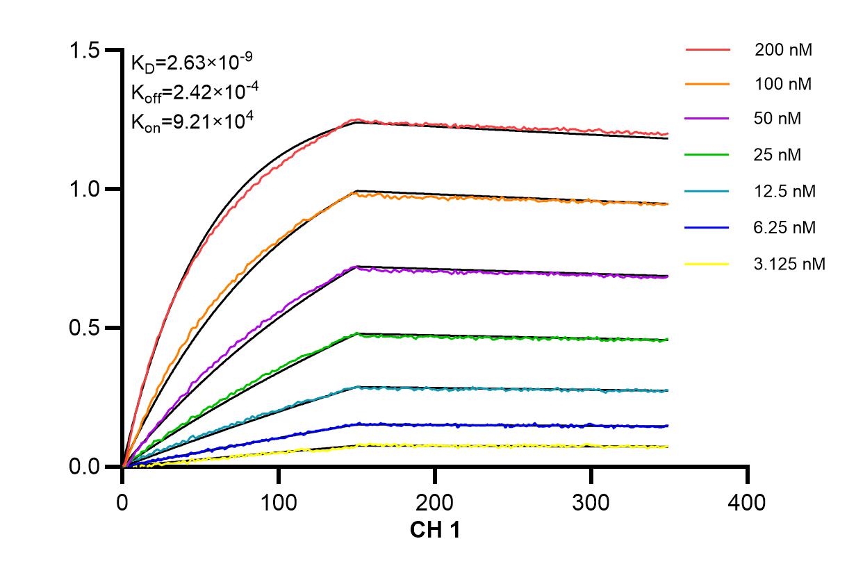 Affinity and Kinetic Characterization of 98107-1-RR