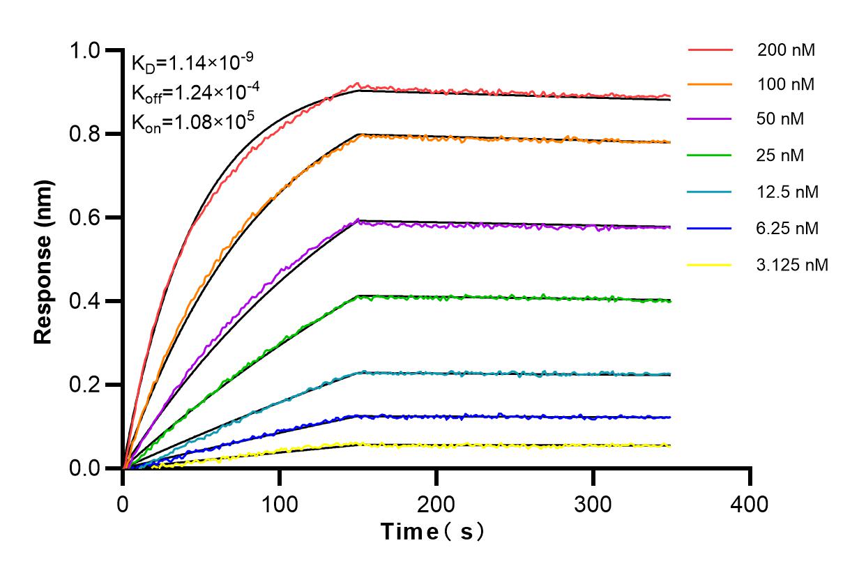 Affinity and Kinetic Characterization of 98108-1-RR