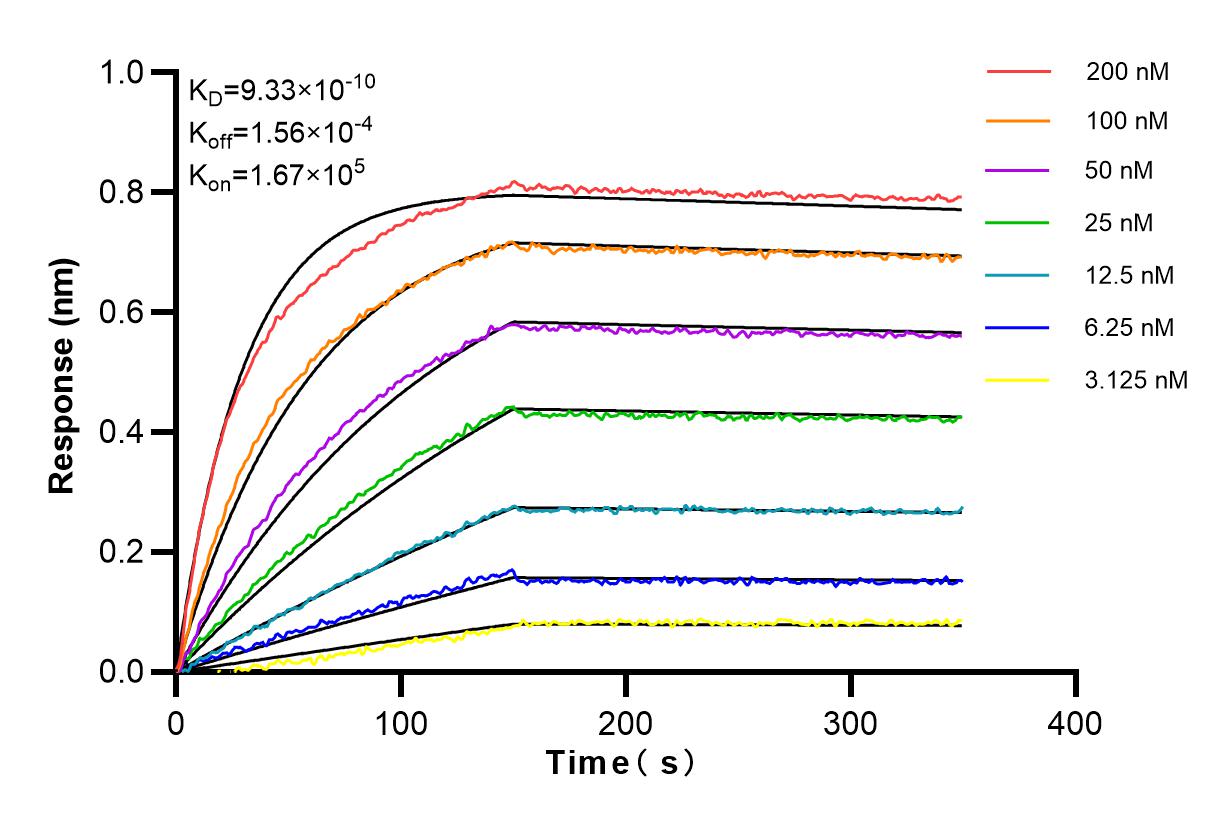 Affinity and Kinetic Characterization of 98109-1-RR