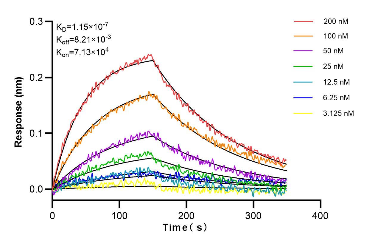 Affinity and Kinetic Characterization of 98121-1-RR