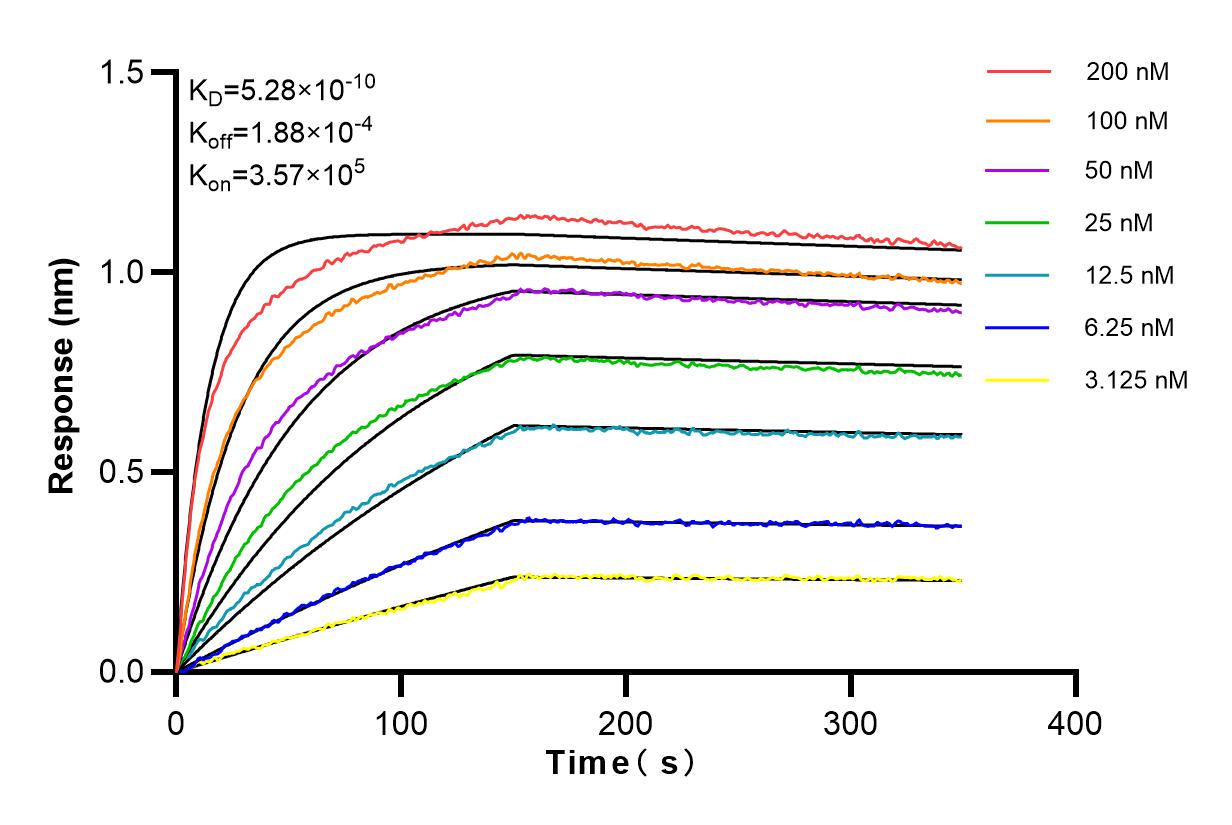 Affinity and Kinetic Characterization of 98124-1-RR