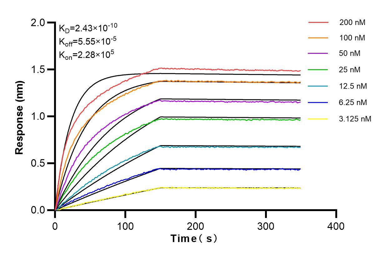 Affinity and Kinetic Characterization of 98130-1-RR