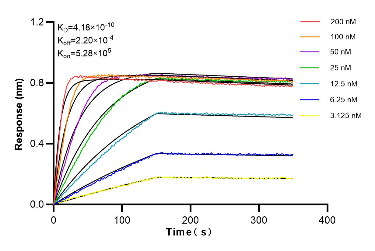 Affinity and Kinetic Characterization of 98134-1-RR