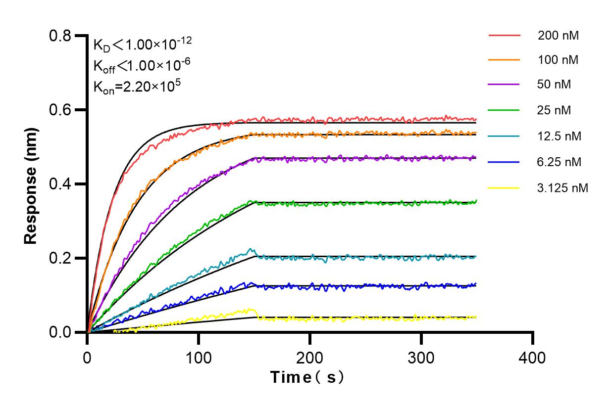 Affinity and Kinetic Characterization of 98139-1-RR