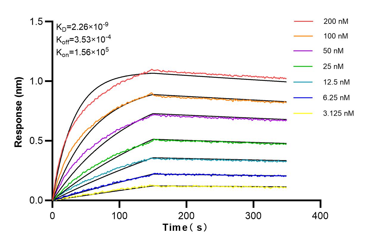 Affinity and Kinetic Characterization of 98141-1-RR