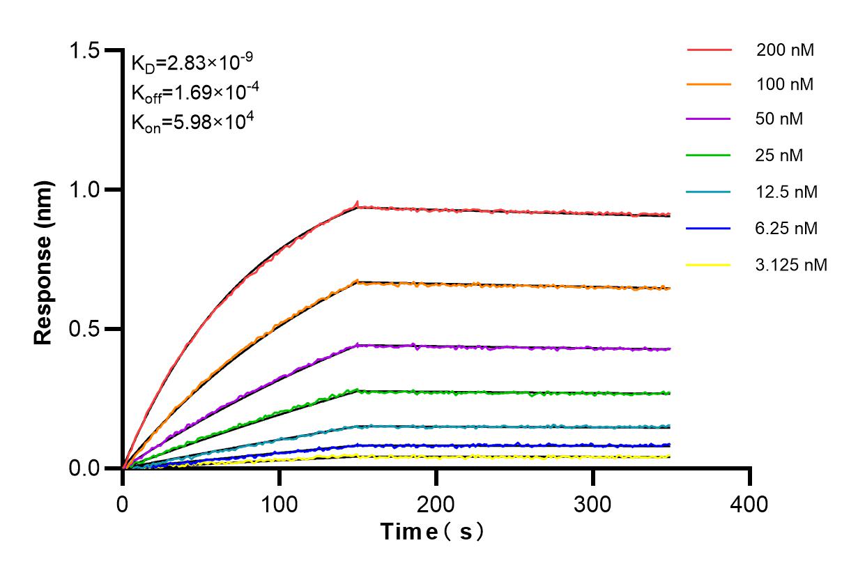 Affinity and Kinetic Characterization of 98180-1-RR