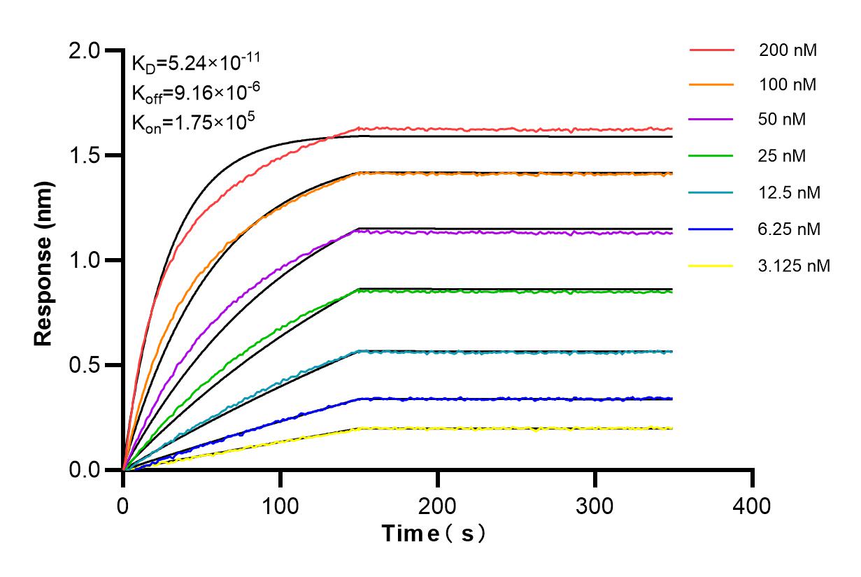 Affinity and Kinetic Characterization of 98227-1-RR