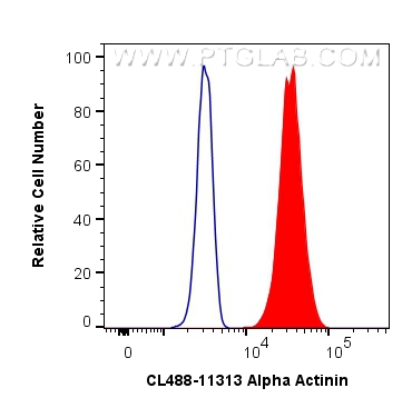 FC experiment of A431 using CL488-11313