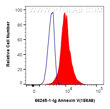 FC experiment of HeLa using 66245-1-Ig