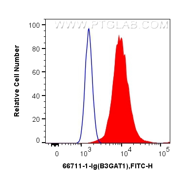 FC experiment of K-562 using 66711-1-Ig (same clone as 66711-1-PBS)