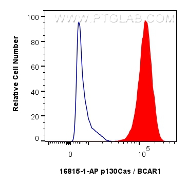 FC experiment of A431 using 16815-1-AP